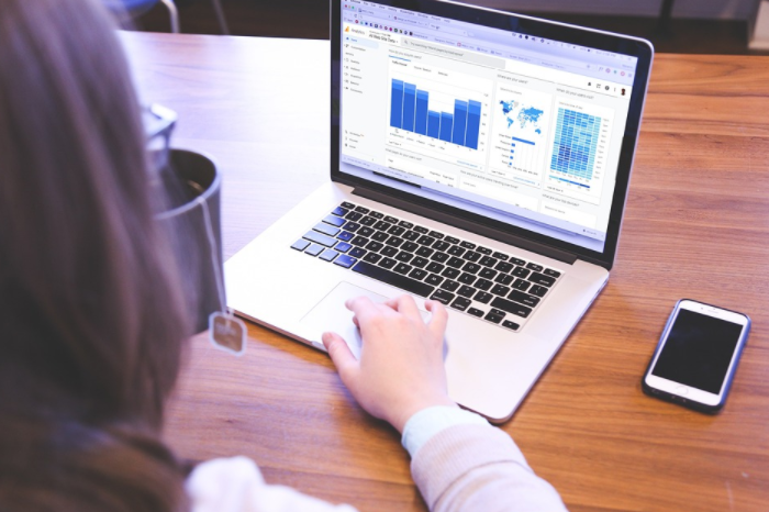 Benefits of SEO for your Veterinarian Website